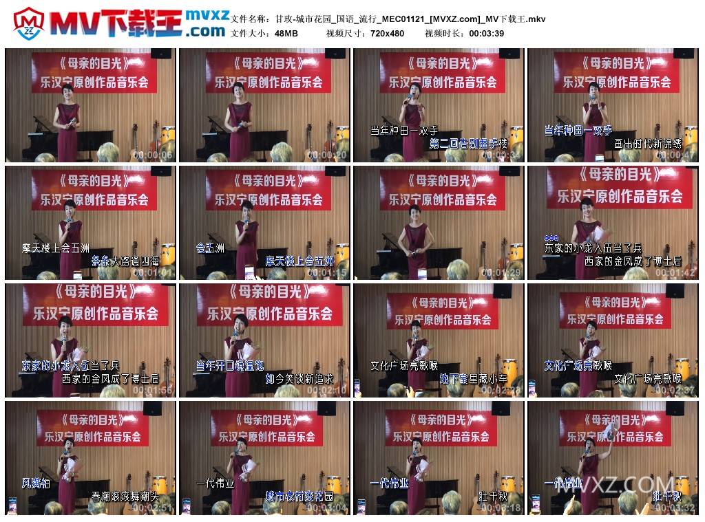 甘玫-城市花园_国语_流行_MEC01121